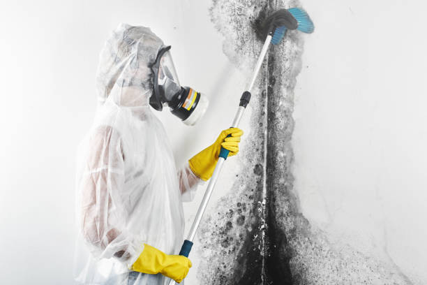 Best Water damage repair service  in , KY