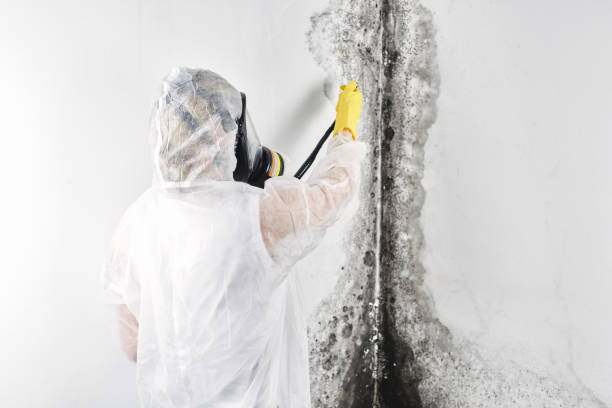 Best Professional water damage repair  in , KY
