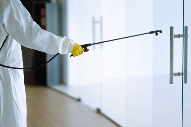  , KY Water damage restoration Pros
